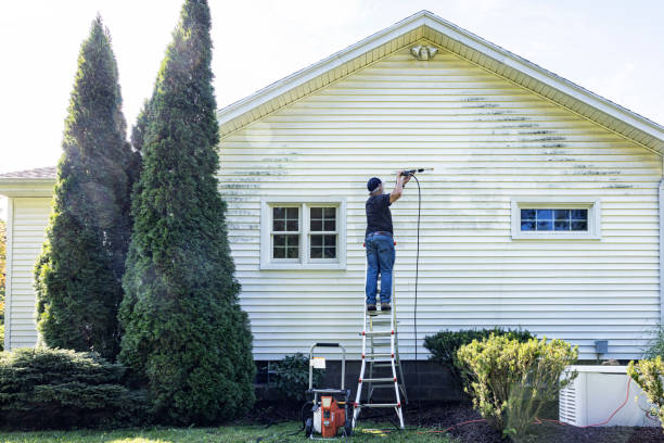 Best Fence Pressure Washing  in Orono, MN