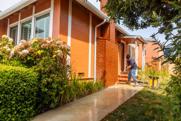 Local Pressure Washing Services in Orono, MN